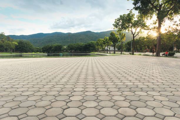 Best Professional Driveway Pavers  in Perrysburg, OH